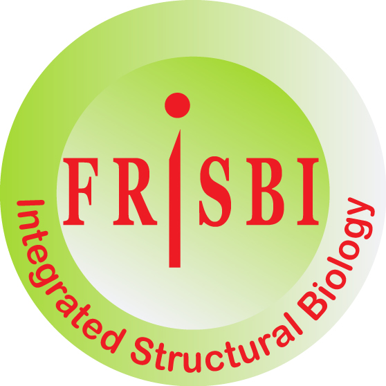 logo frisbi